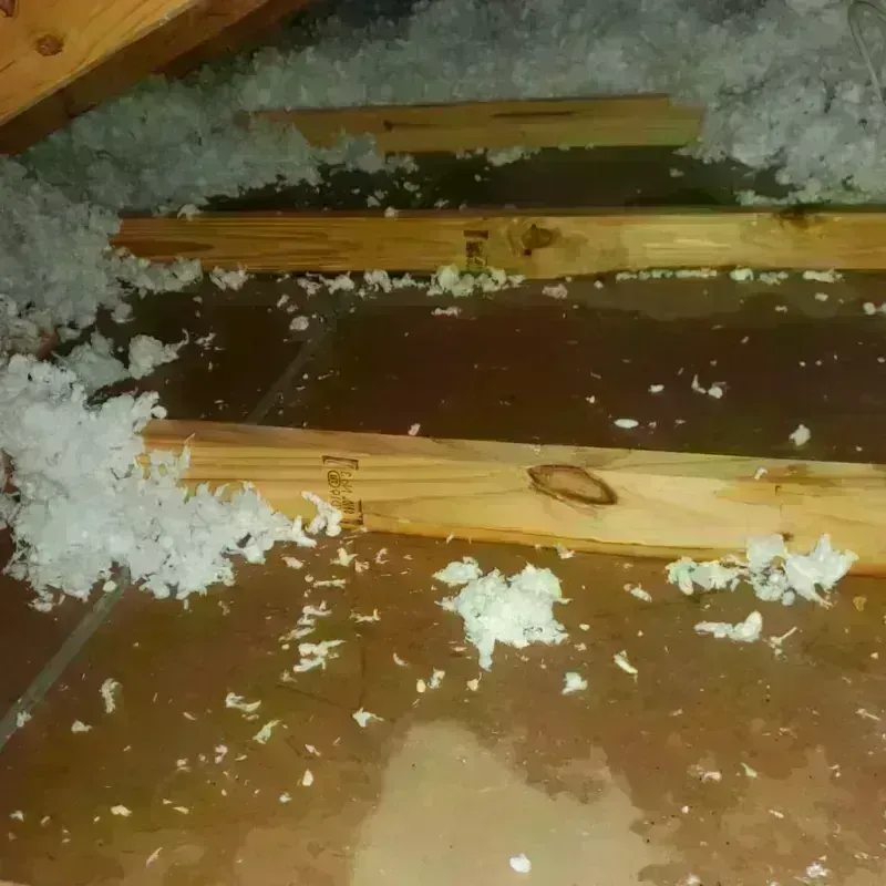 Attic Water Damage in North Valley Stream, NY